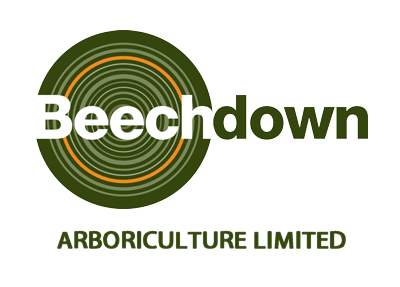 Beechdown tree surgeons